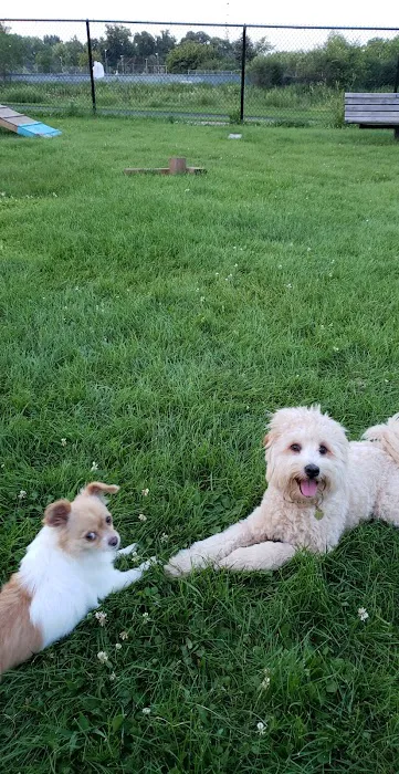 Flying Cloud Dog Park 7
