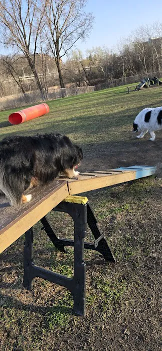 Flying Cloud Dog Park 5