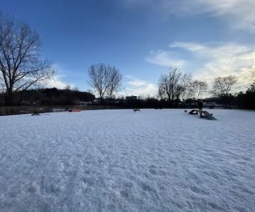 Flying Cloud Dog Park