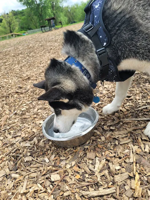 Flying Cloud Dog Park 10