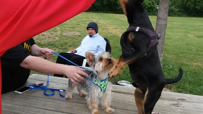 Savage Dog Park 9