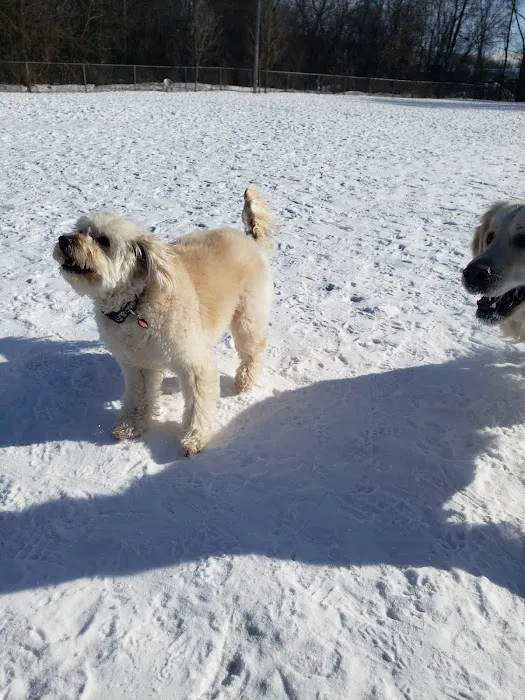 Savage Dog Park 5