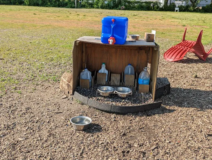 Savage Dog Park 7