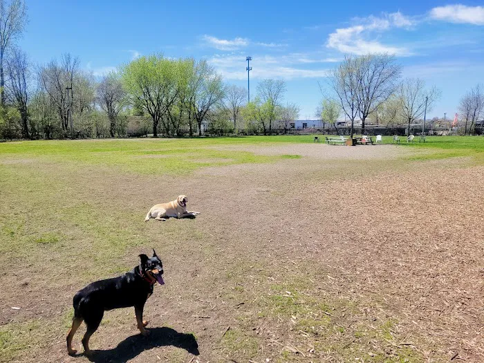 Savage Dog Park 3