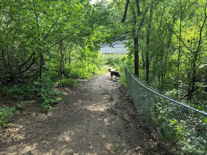 Eagan Off Leash Dog Area 9