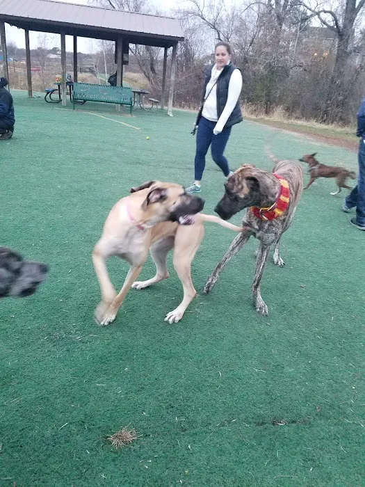 Plymouth Dog Park 3