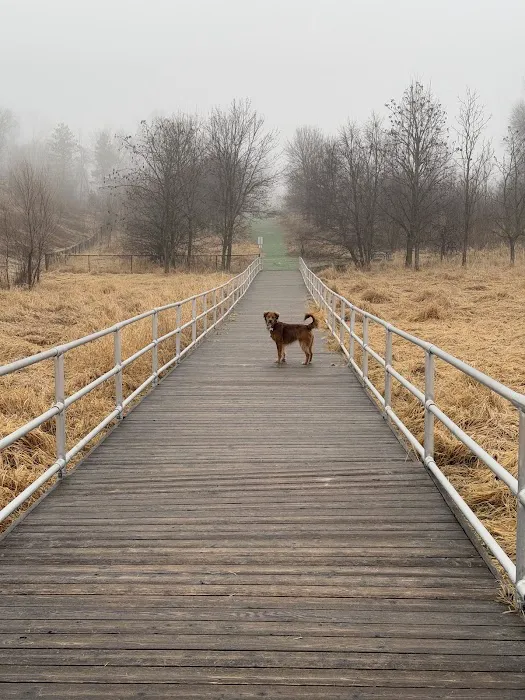 Plymouth Dog Park 9