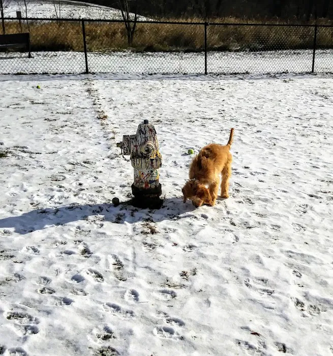 Plymouth Dog Park 8