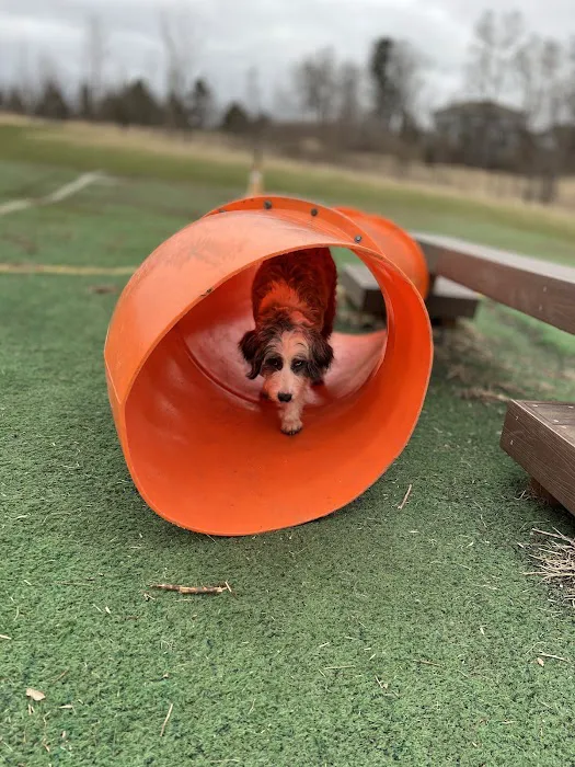 Plymouth Dog Park 7
