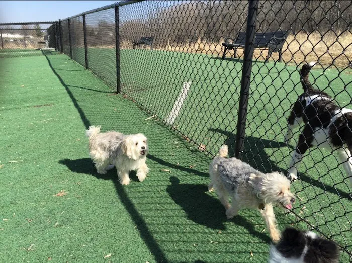 Plymouth Dog Park 1