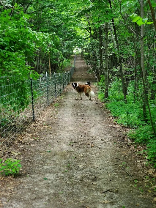 Elm Creek Park Reserve - Dog Off-leash Area 1