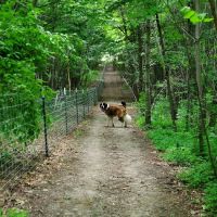 Elm Creek Park Reserve - Dog Off-leash Area ico