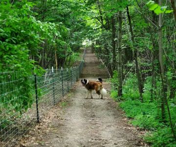 Elm Creek Park Reserve - Dog Off-leash Area