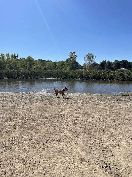 Elm Creek Park Reserve - Dog Off-leash Area 9