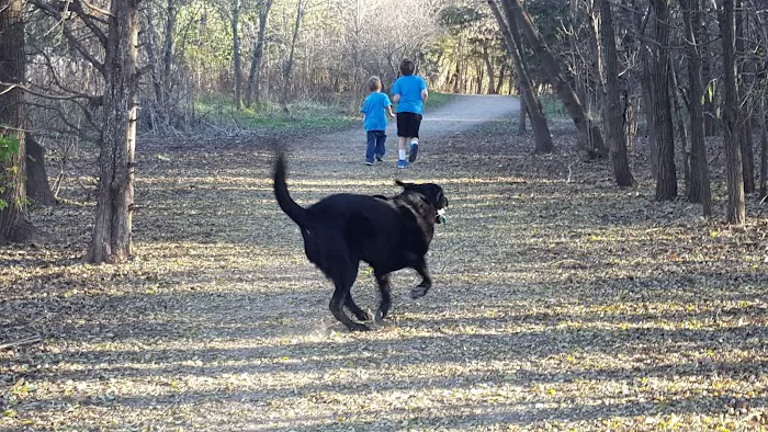 Elm Creek Park Reserve - Dog Off-leash Area 5