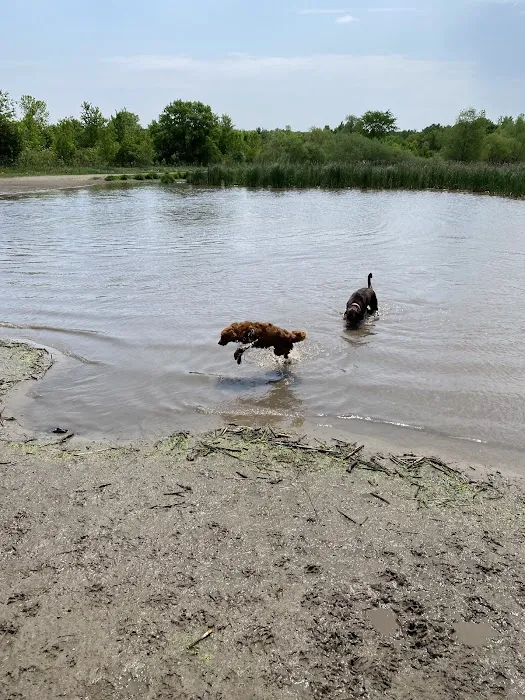 Elm Creek Park Reserve - Dog Off-leash Area 10