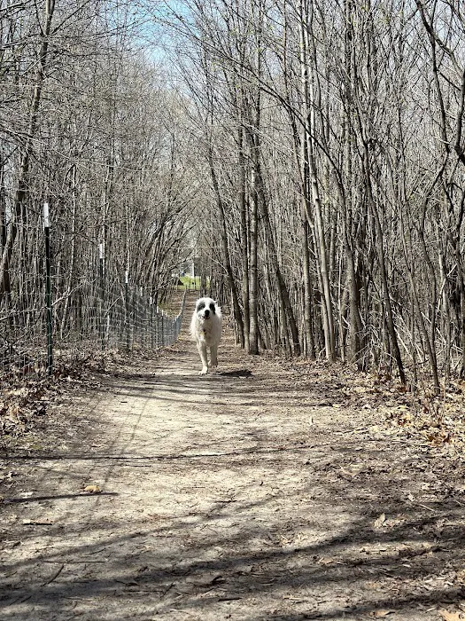 Elm Creek Park Reserve - Dog Off-leash Area 6