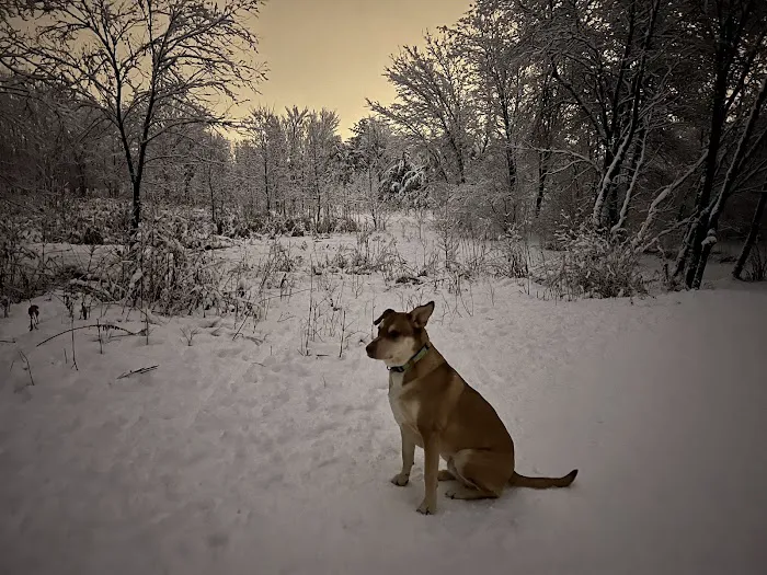 Elm Creek Park Reserve - Dog Off-leash Area 2