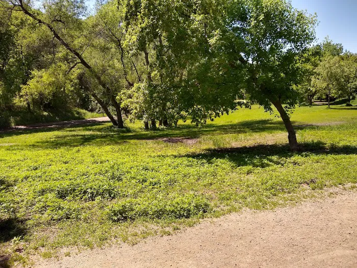 Bryant Lake Dog Park 5