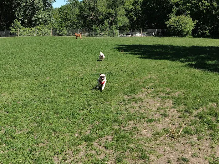 Bryant Lake Dog Park 9