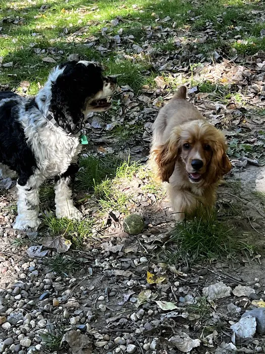 Bryant Lake Dog Park 8