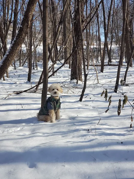 Bryant Lake Dog Park 3