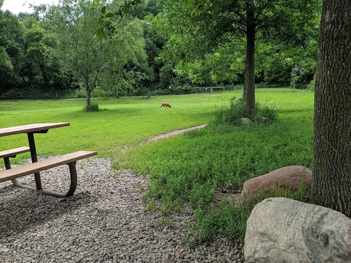 Bryant Lake Dog Park 7