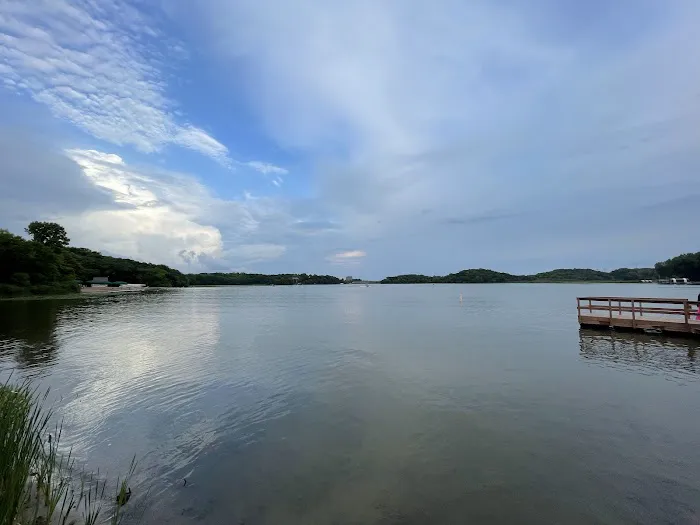 Bryant Lake Dog Park 1
