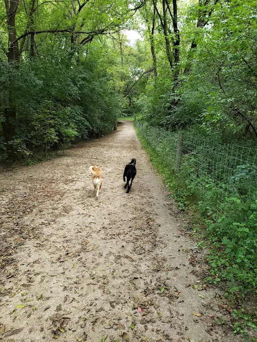 Bryant Lake Dog Park 10
