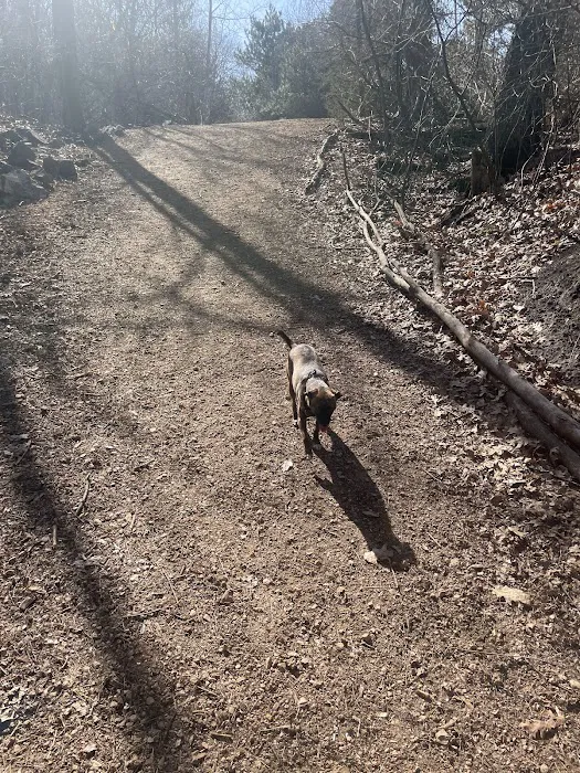 Staring Lake Park Off-Leash Dog Exercise Area 8