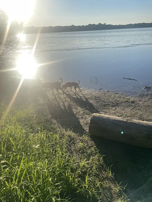 Staring Lake Park Off-Leash Dog Exercise Area 2