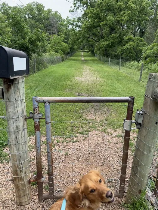 Off Leash Dog Park 2