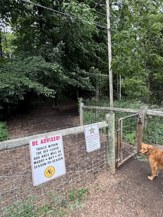 Off Leash Dog Park 7
