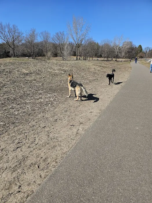 Bunker Hills Dog Park 4