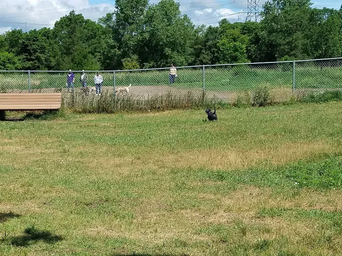Bunker Hills Dog Park 7
