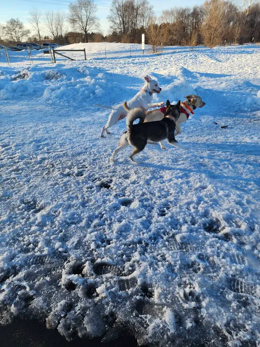 Bunker Hills Dog Park 1
