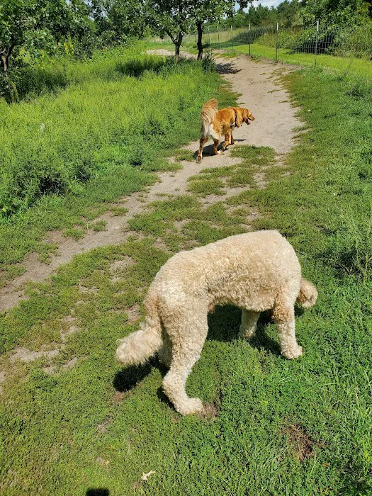 Bunker Hills Dog Park 2