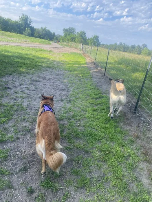 Bunker Hills Dog Park 3