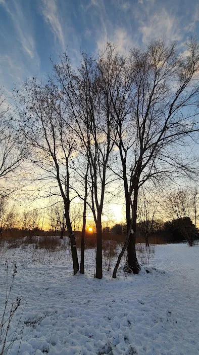 Bunker Hills Dog Park 8
