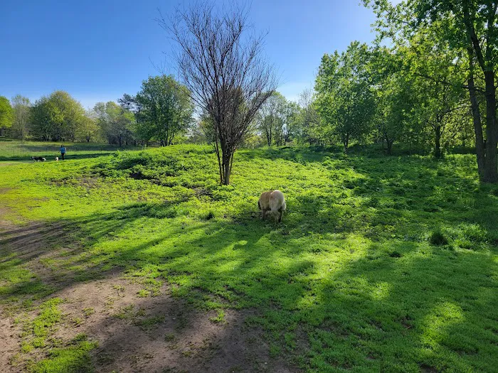 Bunker Hills Dog Park 10