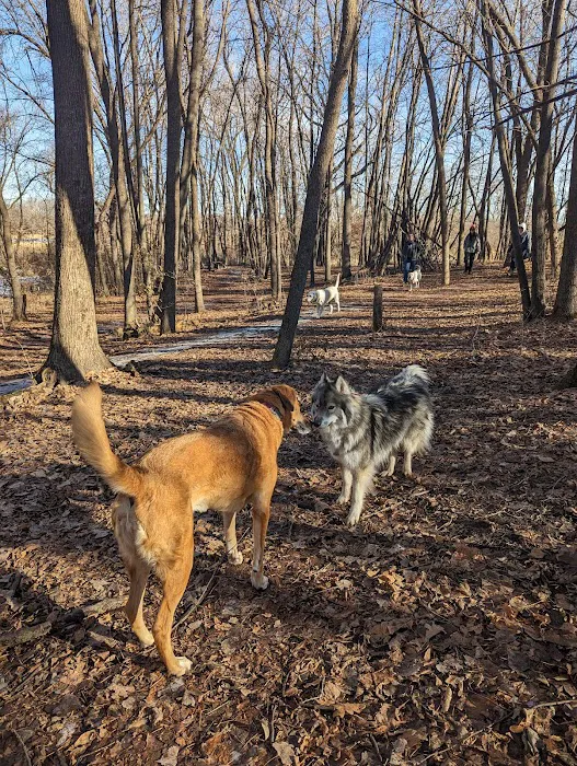 Otter Lake Off-leash Dog Area 1