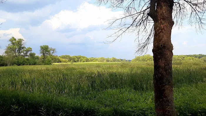 Otter Lake Off-leash Dog Area 3