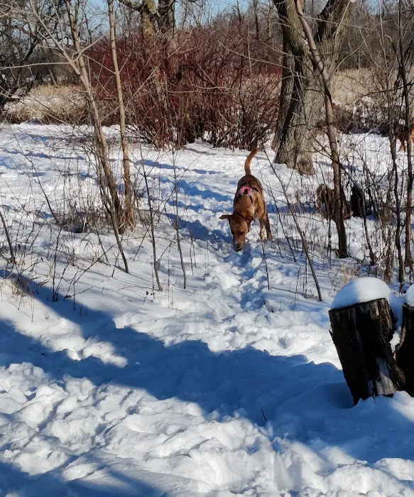 Otter Lake Off-leash Dog Area 7
