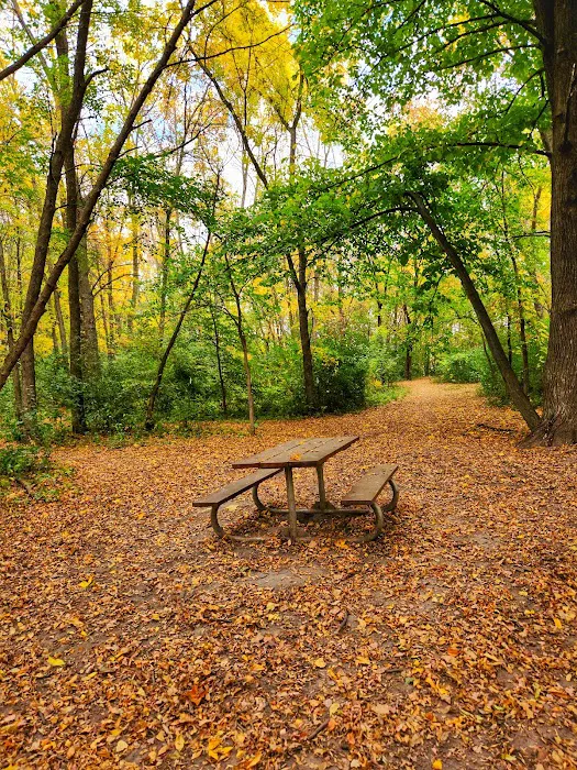 Otter Lake Off-leash Dog Area 8