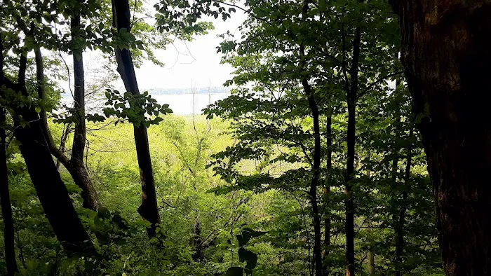 Otter Lake Off-leash Dog Area 10