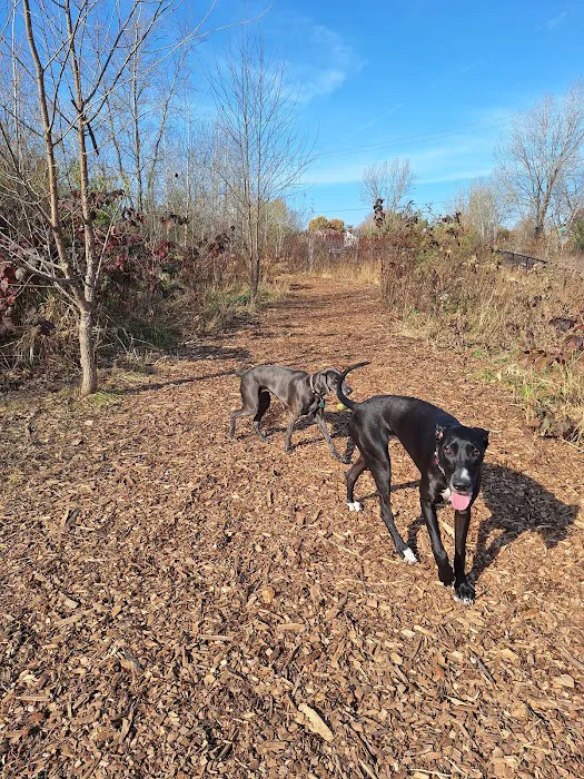 Oakdale Bark Park 5