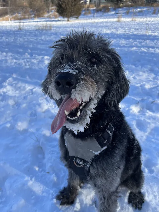 Oakdale Bark Park 4