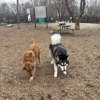 Oakdale Bark Park ico
