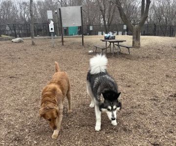 Oakdale Bark Park