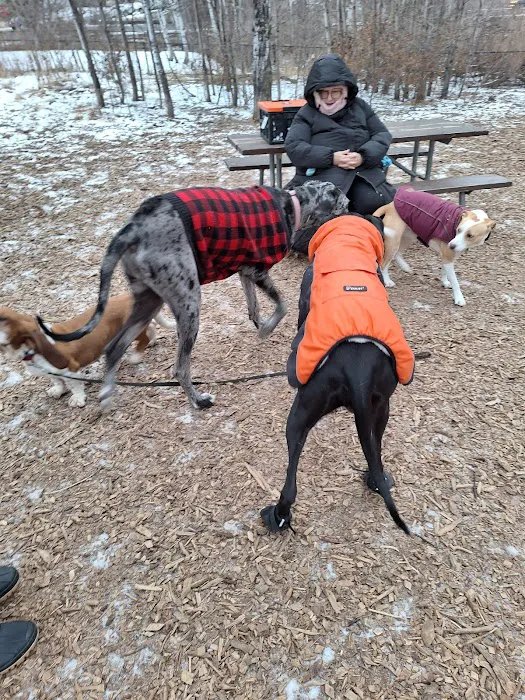 Oakdale Bark Park 9